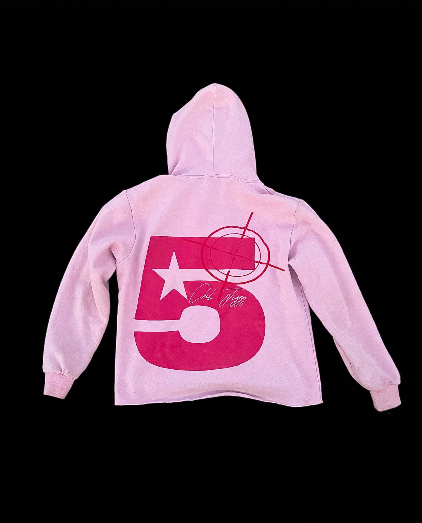 Jiggy Vol. 1 hoodie